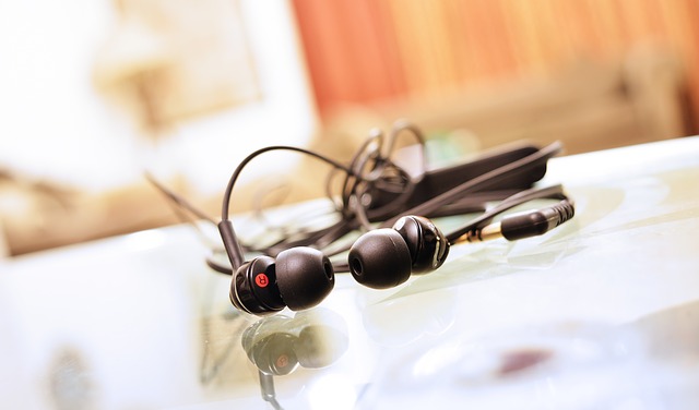 earphones-893156_640